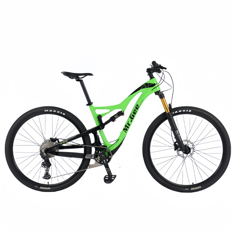 Carbon Fiber Bike 29 Inch Chin - Philippines Cycling Gear avaliação e preço