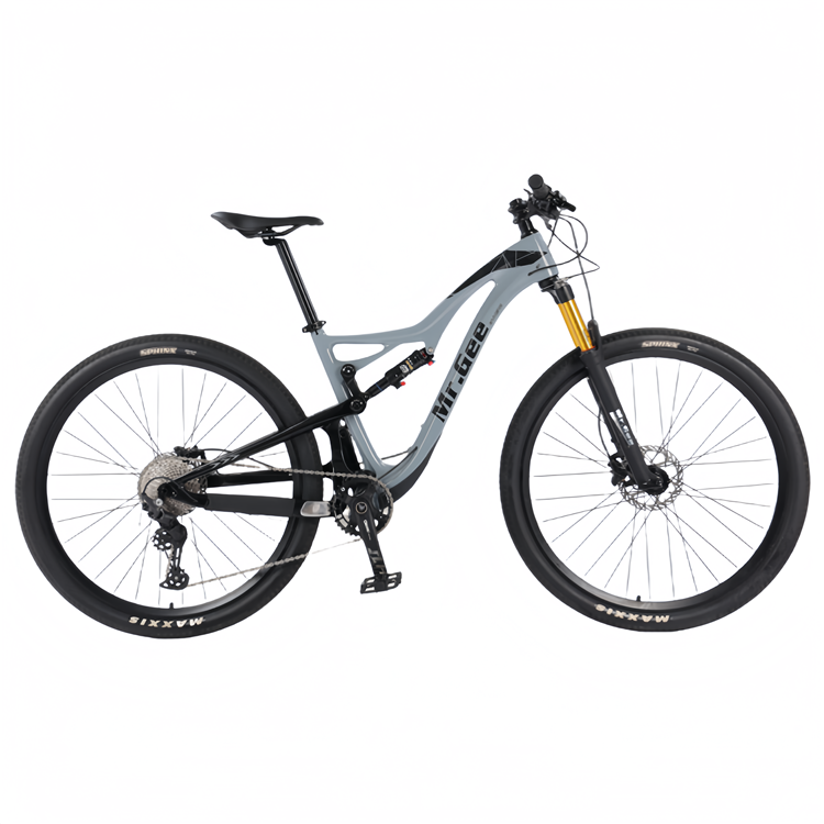 Carbon Fiber Bike 29 Inch Chin - Philippines Cycling Gear avaliação e preço