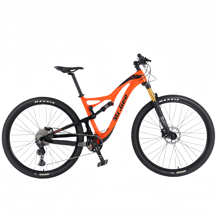Carbon Fiber Bike 29 Inch Chin - Philippines Cycling Gear avaliação e preço