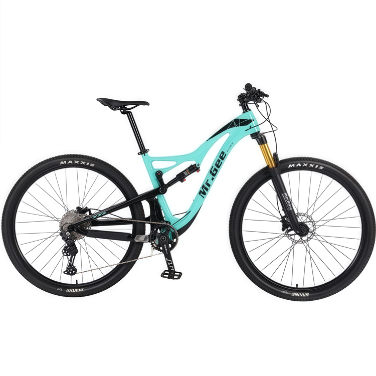 Carbon Fiber Bike 29 Inch Chin - Philippines Cycling Gear avaliação e preço
